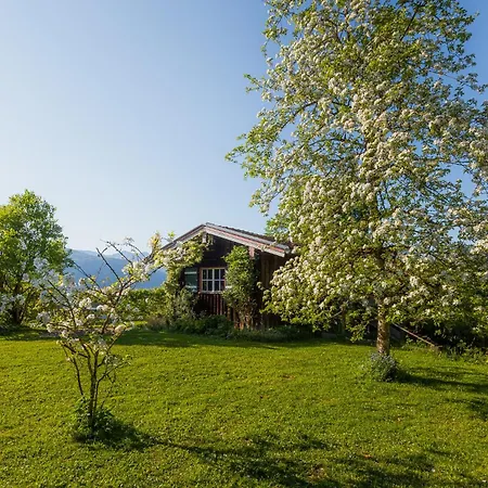 Waldklause Apartment